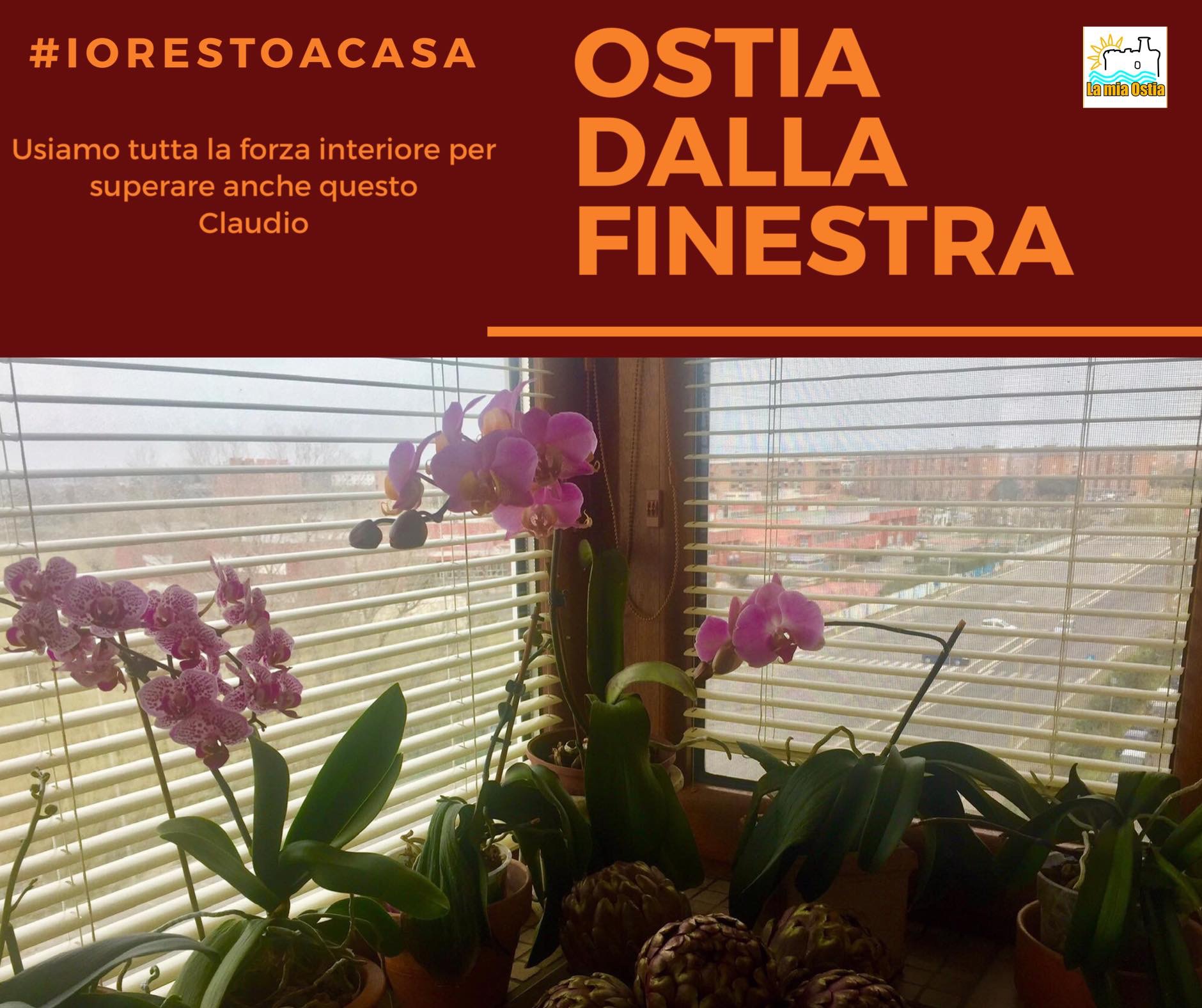 Ostia dalla finestra: mese di marzo